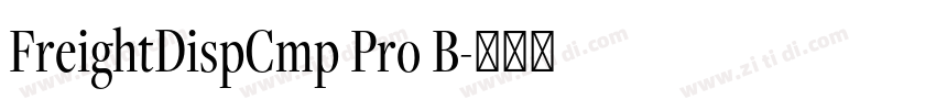 FreightDispCmp Pro B字体转换